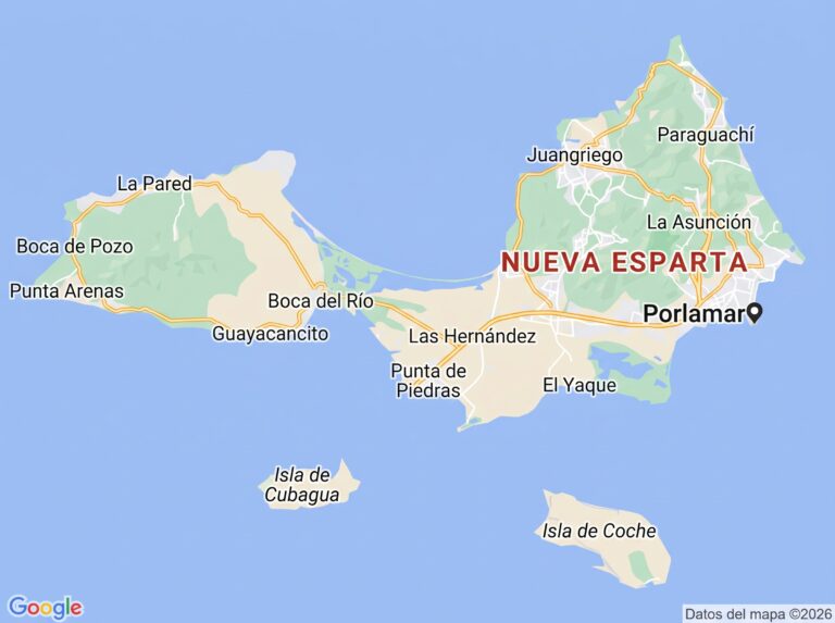 Cómo aparecer en Google Maps en Margarita: Guía práctica para negocios locales